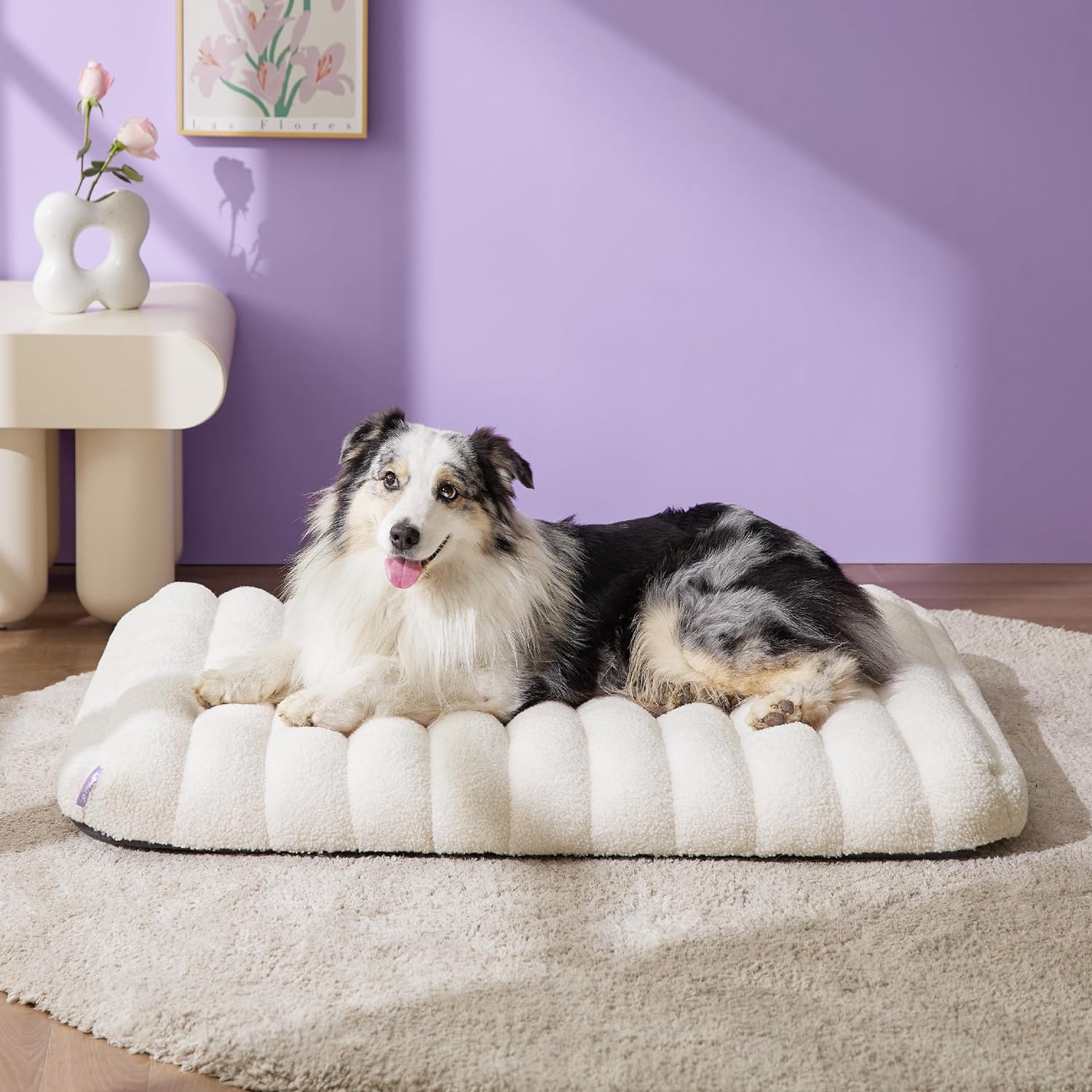 Cute Orthopedic Dog Bed Large Sized Dog, Waterproof Chic Flat Pet Beds with Removable Washable Cover, Fuzzy Thick Egg Crate Foam Pet Mat
