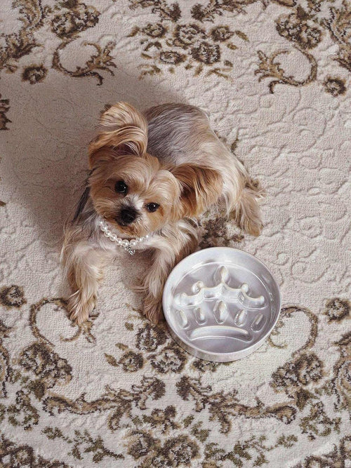 Ceramic Slow Feeder Dog Bowls Small Breed, 0.6 Cups Dog Food Dish for Fast Eaters, Puzzle Bowl for Small Dogs and Cats,Crown Silver